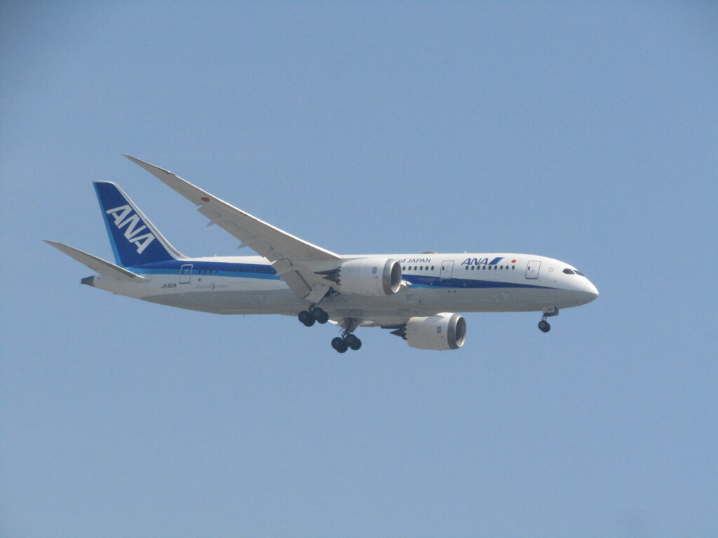 ANA　福岡空港にて　⑪