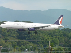 マカオ航空　A321　B-MAJ着陸