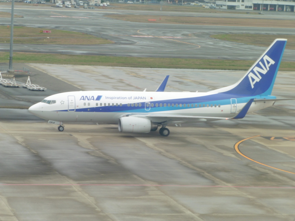 ANA　B737-700ER到着