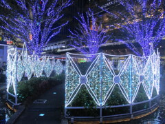 博多シティのイルミネーション点灯　③