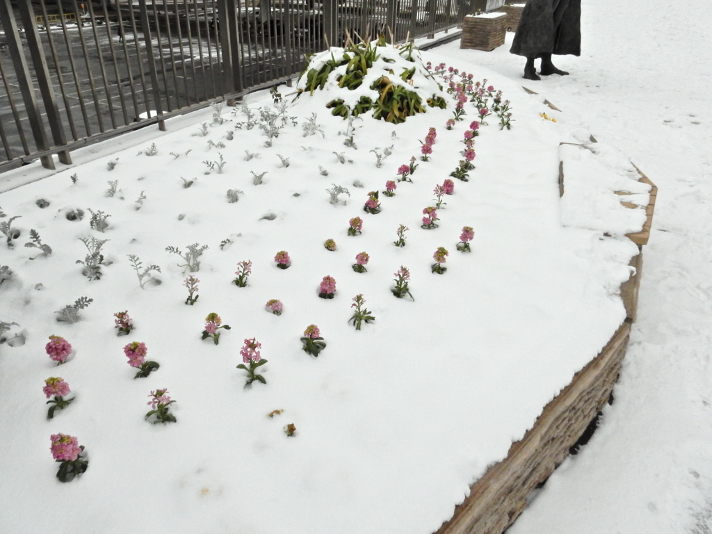 雪の街中　⑤