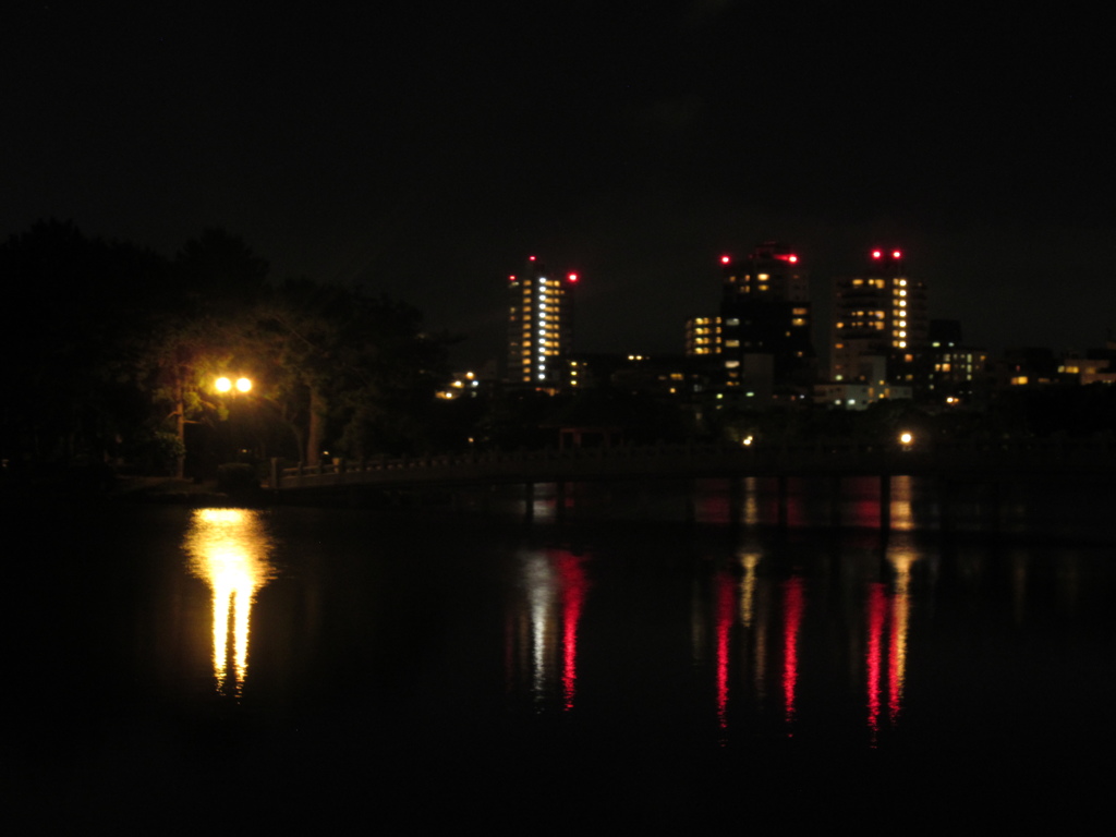 夜の大濠公園　⑤