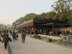 大濠公園にて　⑧