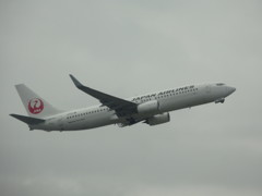 JAL　B737離陸