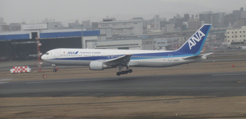 ALL NIPPON AIRWAYS  B767-300