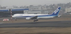 ALL NIPPON AIRWAYS  B767-300