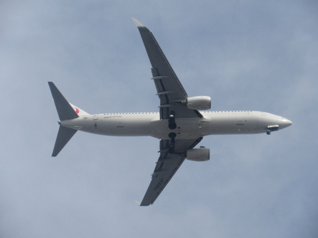 JAL　B737-800