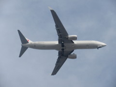 JAL　B737-800