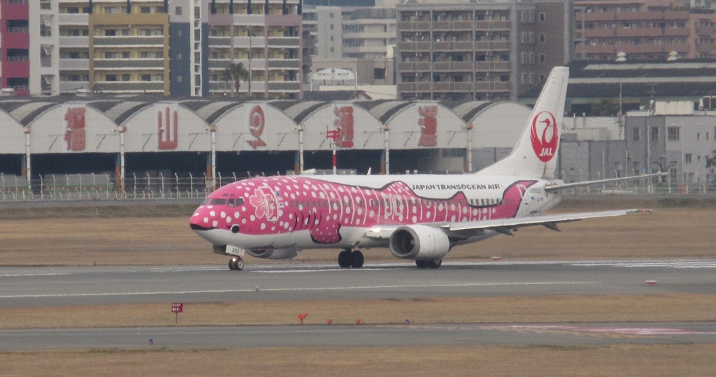 ピンクジンベエ離陸①