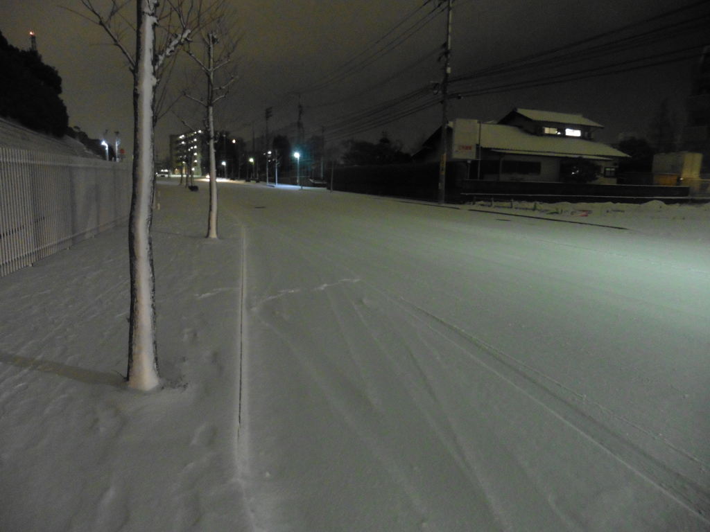 道路も歩道も真っ白