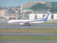 ANA　B767-300ER　JA8971