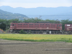 田園風景と列車②