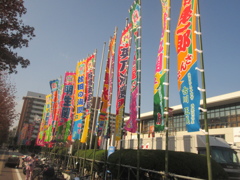 もうすぐ始まる九州場所①