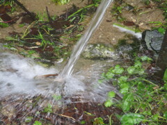 流れ出る湧き水　②