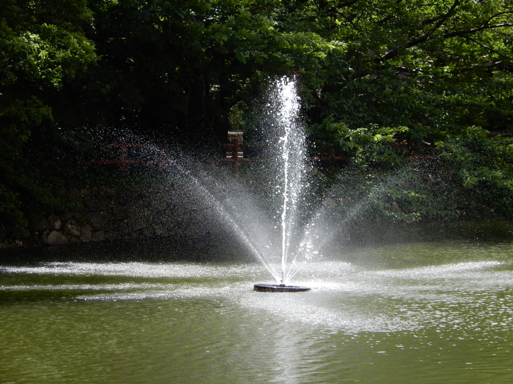 勢いよく上がる噴水