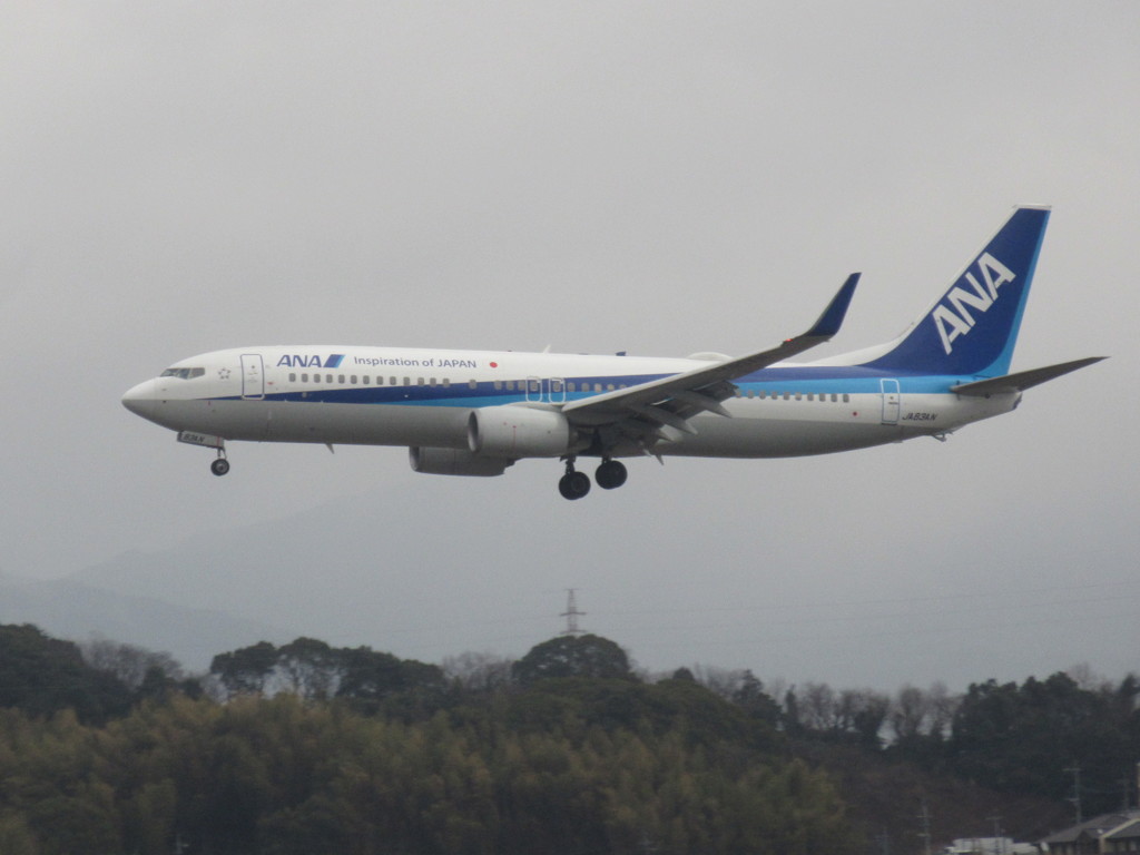 ANA  737-800  JA83AN