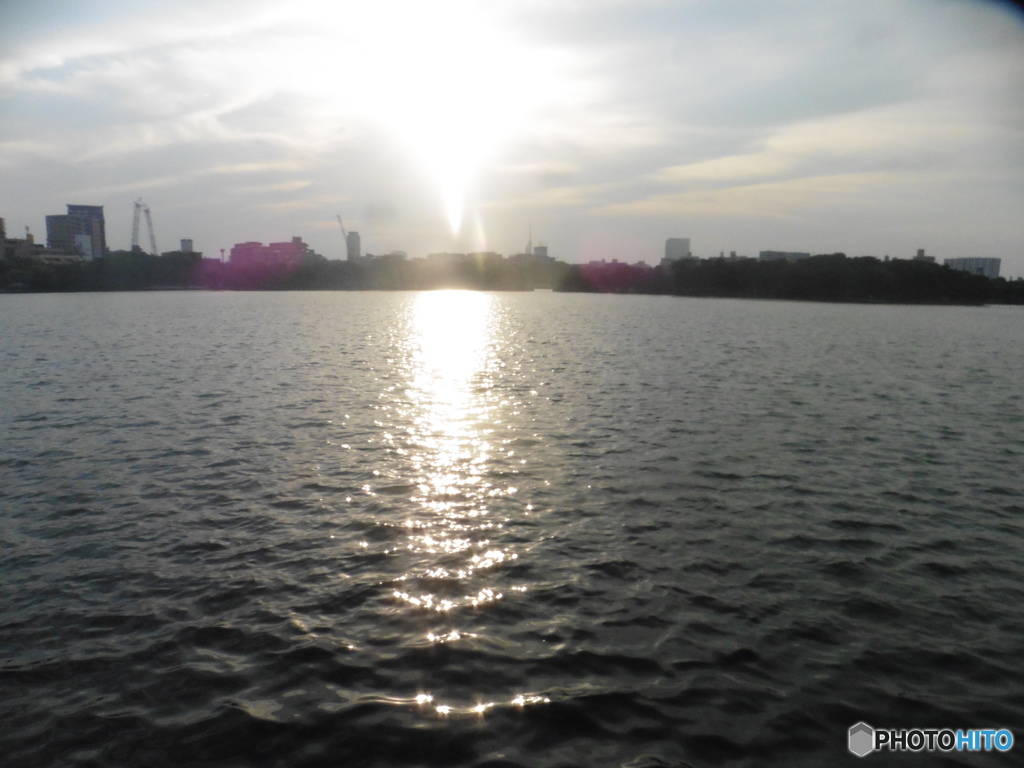 大濠公園の池を照らす太陽