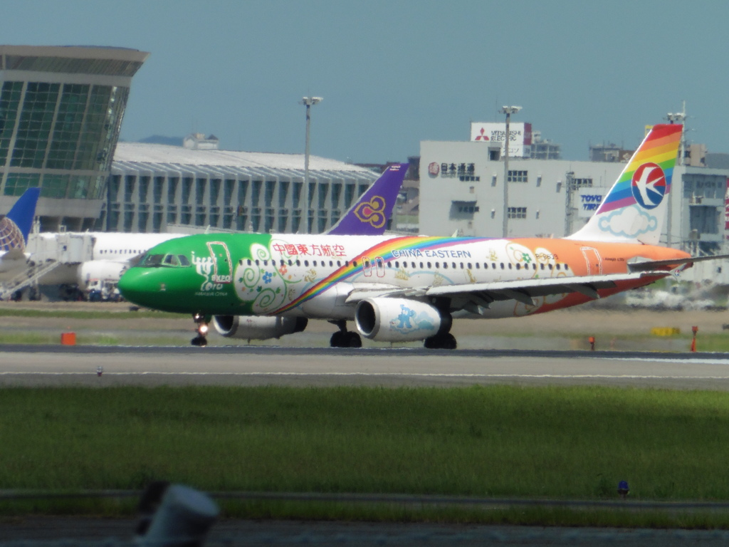 中国東方航空　A320　B-6639　EXPO塗装到着