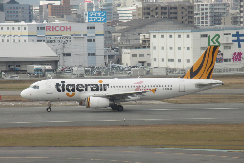 tiger air