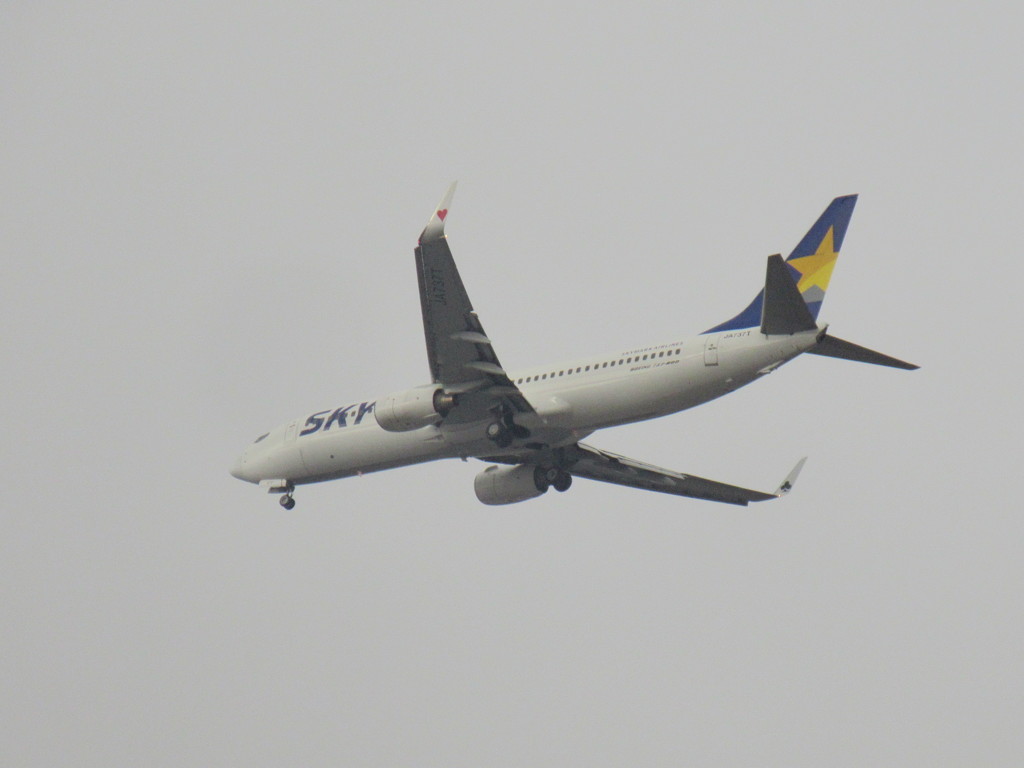 SKYMARK　JA737T