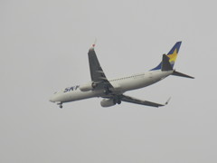 SKYMARK　JA737T