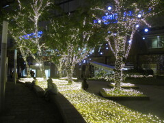 天神警固公園のイルミネーション　⑦