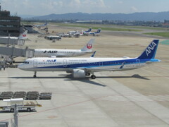 ANA　福岡空港にて　⑧