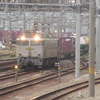 EF81-303が入線　福岡貨物ターミナルにて　①
