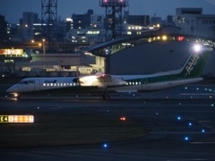 ANA　Eｃo　Friendly　Airline