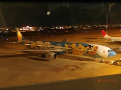 福岡空港で撮影したポケモンジャンボ②