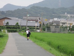 のどかな田んぼの光景②