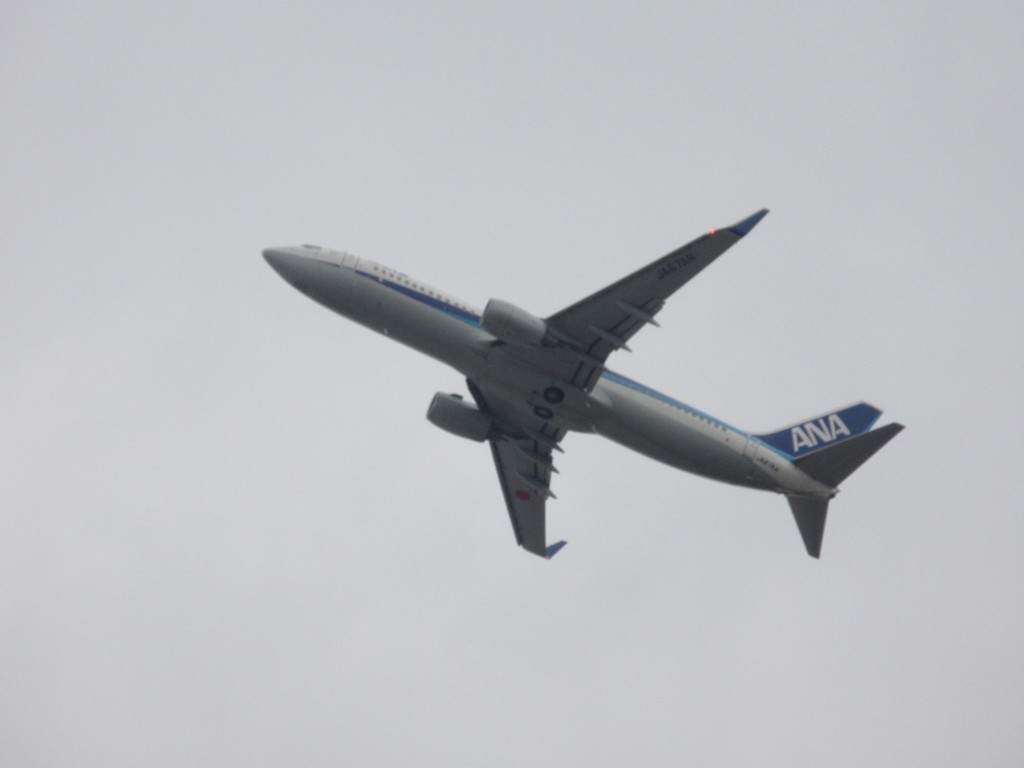 ANA B737離陸