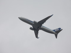 ANA B737離陸