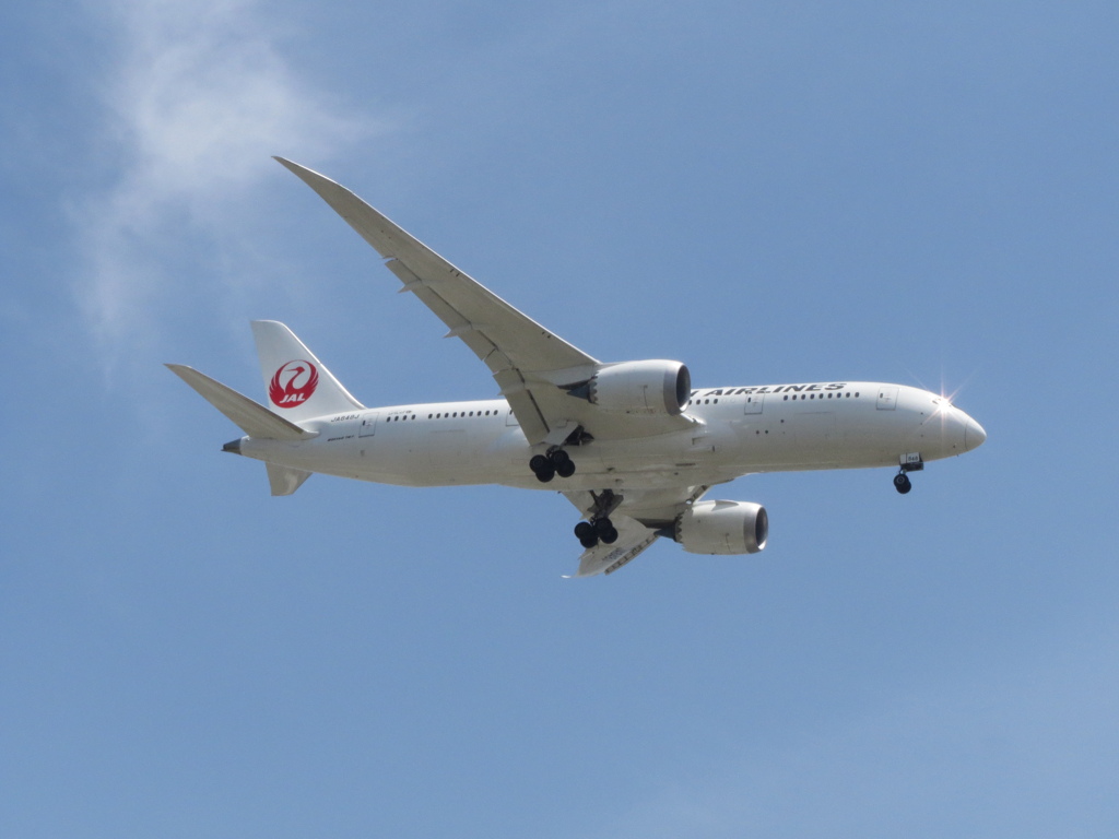 福岡空港にランディングのJAL  B787-8
