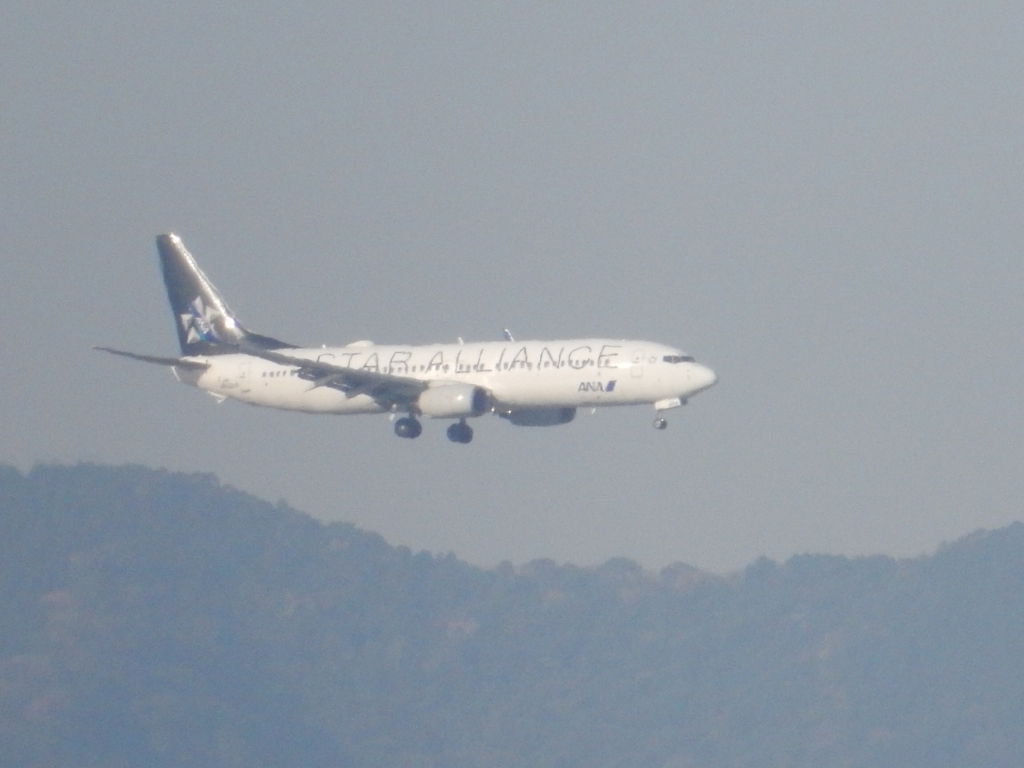 ANA  B737-800　福岡空港ランディング　①