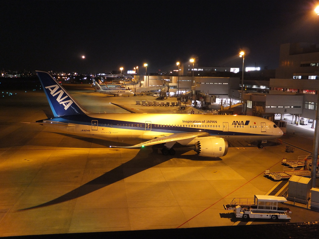 夜の福岡空港　①
