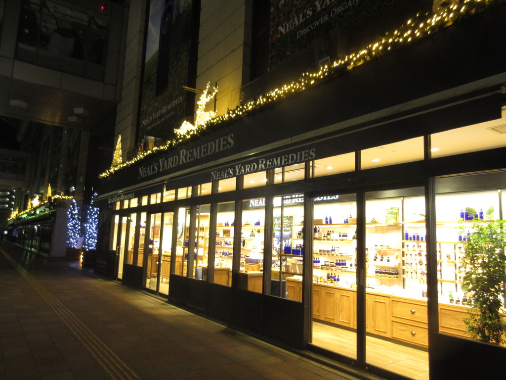 一足早く点灯③