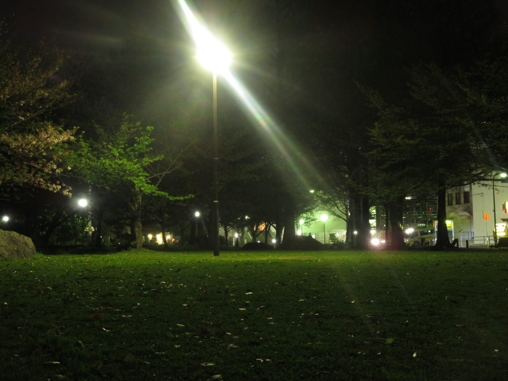 夜の公園③