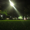 夜の公園③