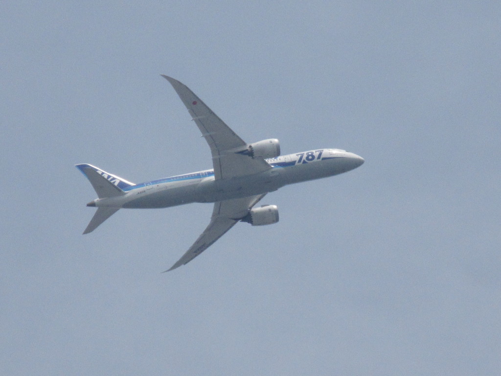 ANA　B787の離陸
