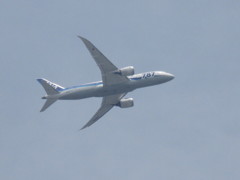 ANA　B787の離陸