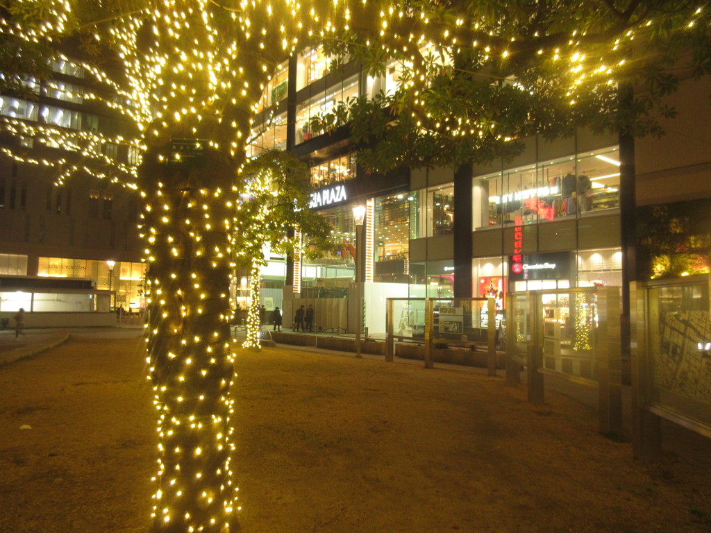 天神警固公園イルミネーション③