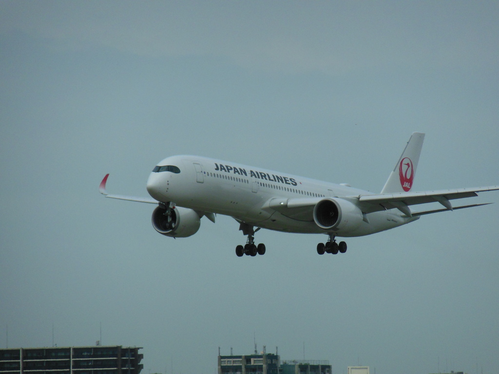 JAL A350 福岡空港へランディング　①