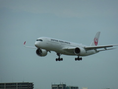 JAL A350 福岡空港へランディング　①