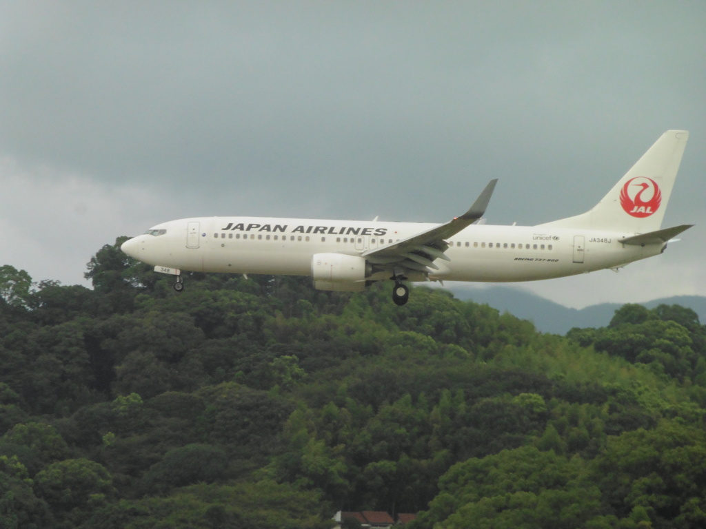 JAL  B737の着陸