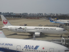 SUICAペンギン飛来①