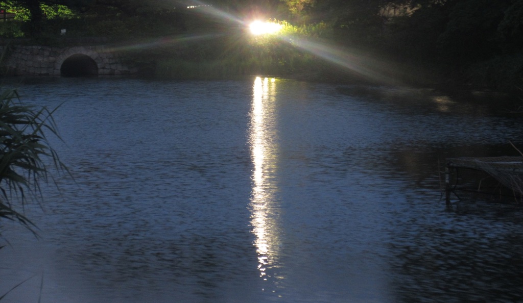 夕暮れの水面に映し出された外灯の光　⑤