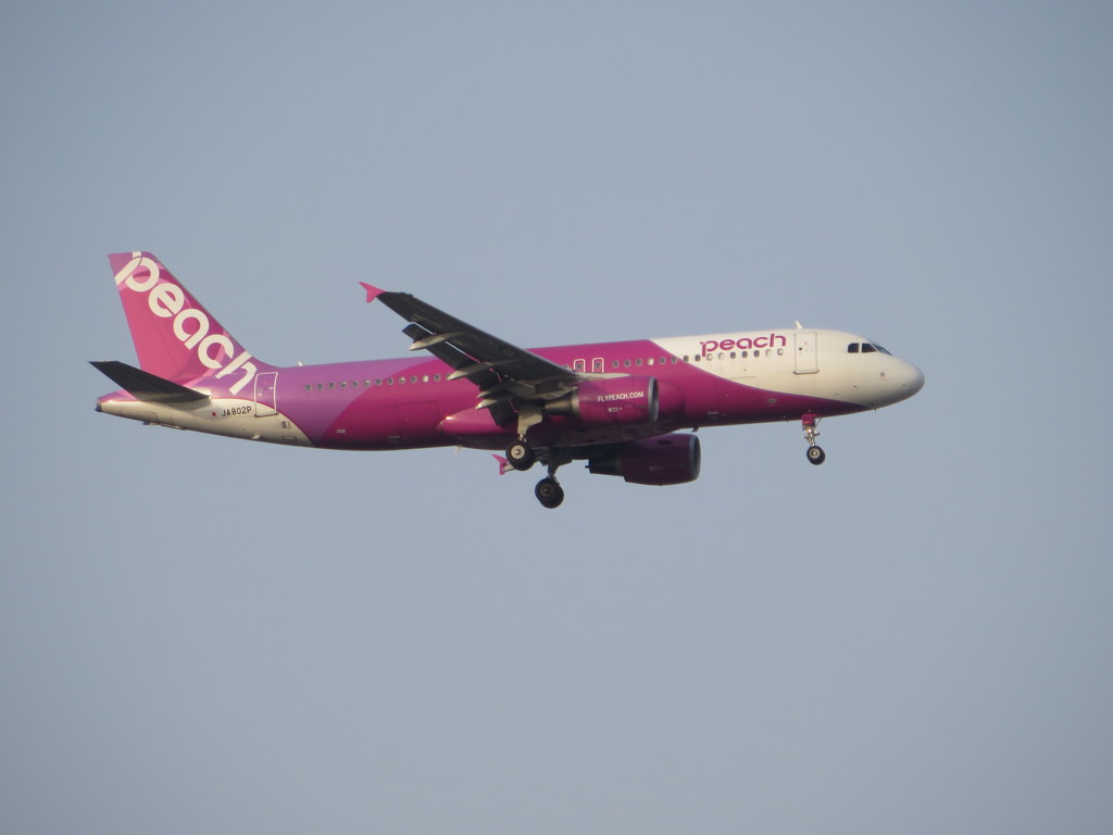 peach aviation