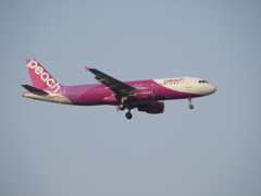 peach aviation