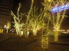 天神警固公園イルミネーション②